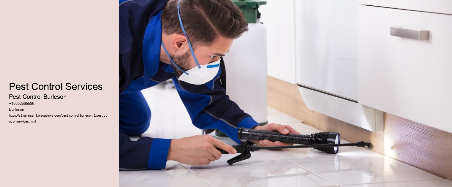 Pest Control Services